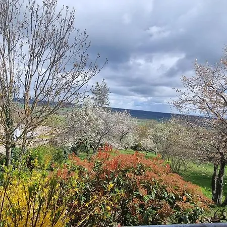 L'oustalou - Wifi - Jardin - Campagne Holiday home