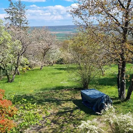 L'oustalou - Wifi - Jardin - Campagne * Villeneuve (Puy-de-Dome)